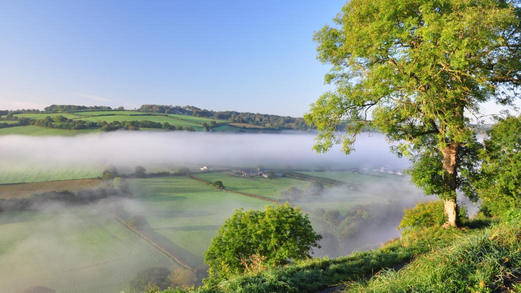 Countryside Fields near Buckland Brewer in North Devon