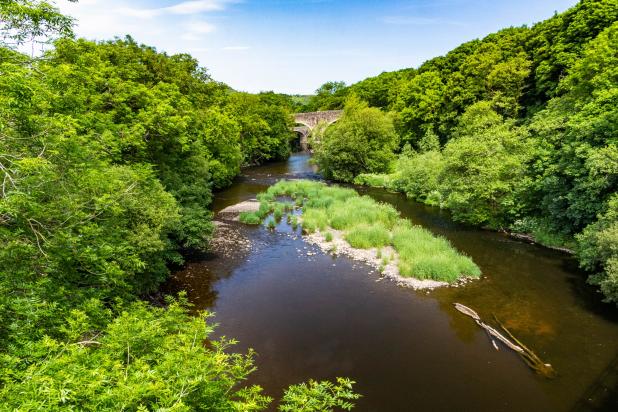 View Looking Down River at Rolle Bridge and Rothern Bridge in Summer: Great Torrington, Devon,