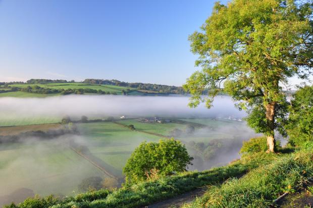 Countryside Fields near Buckland Brewer in North Devon