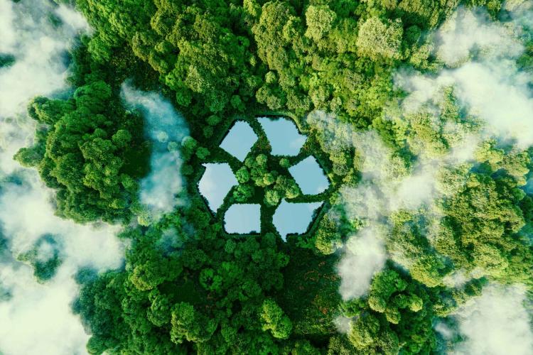 Ariel view of forest with recycling logo over the top